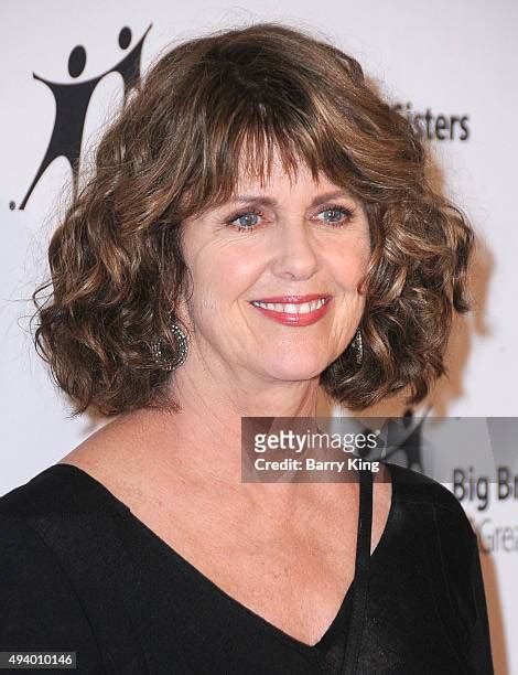 219 Actress Pam Dawber Stock Photos & High